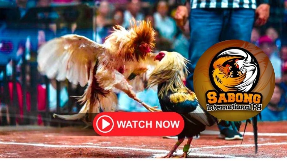 davao win casino login how to place a street bet in roulette