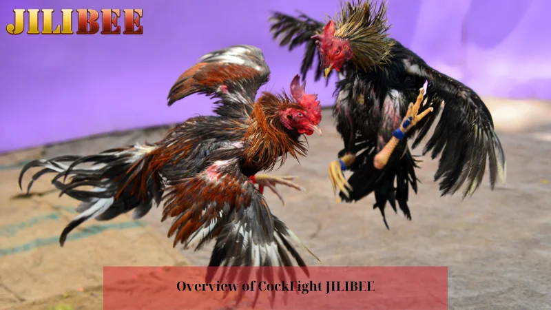 7xm online casino slot free 100 sign up